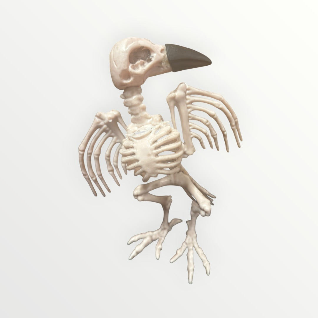 "Way To Celebrate" Official Crazybonez Faux Crow Skeleton for Halloween 8"H