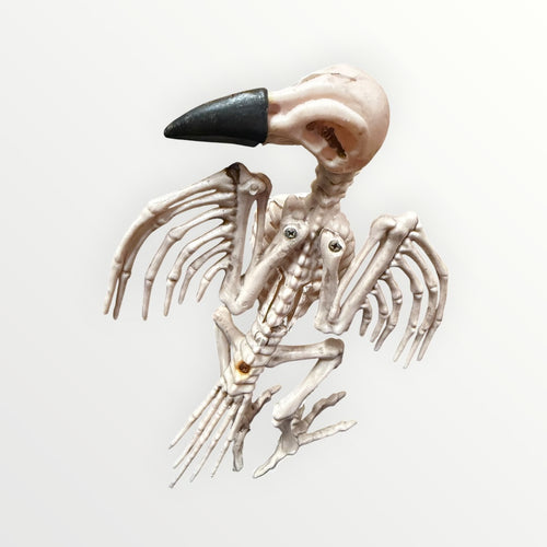 "Way To Celebrate" Official Crazybonez Faux Crow Skeleton for Halloween 8"H