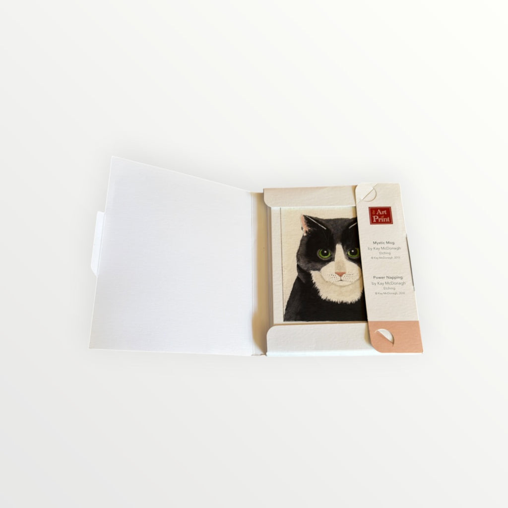 Feline Friends by Kay McDonagh Notecards