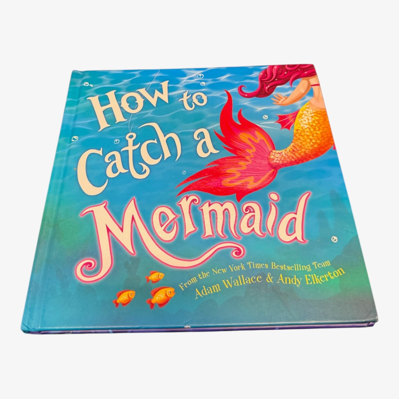 How to Catch a Mermaid by Adam Wallace
