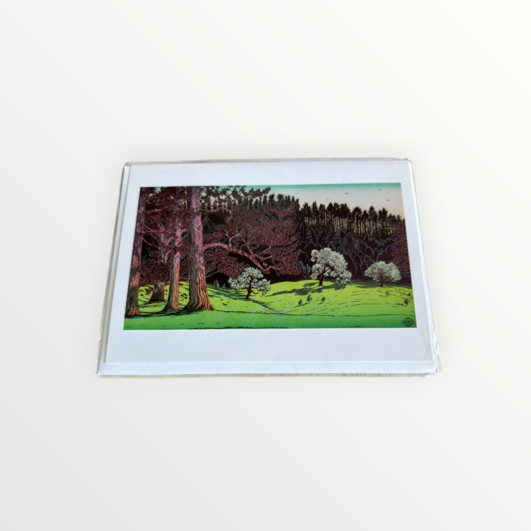 Tom Killion Landscape Blank Greeting Card – Divide Meadow, Point Reyes 5" x 7"