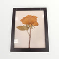 Framed Single Rose Artwork 9" x 11.5"
