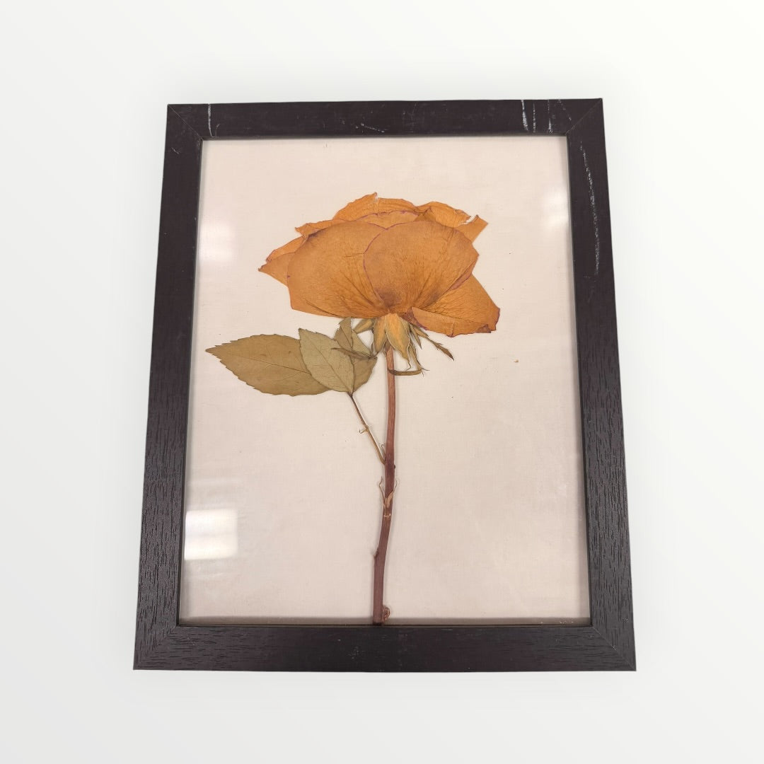 Framed Single Rose Artwork 9" x 11.5"