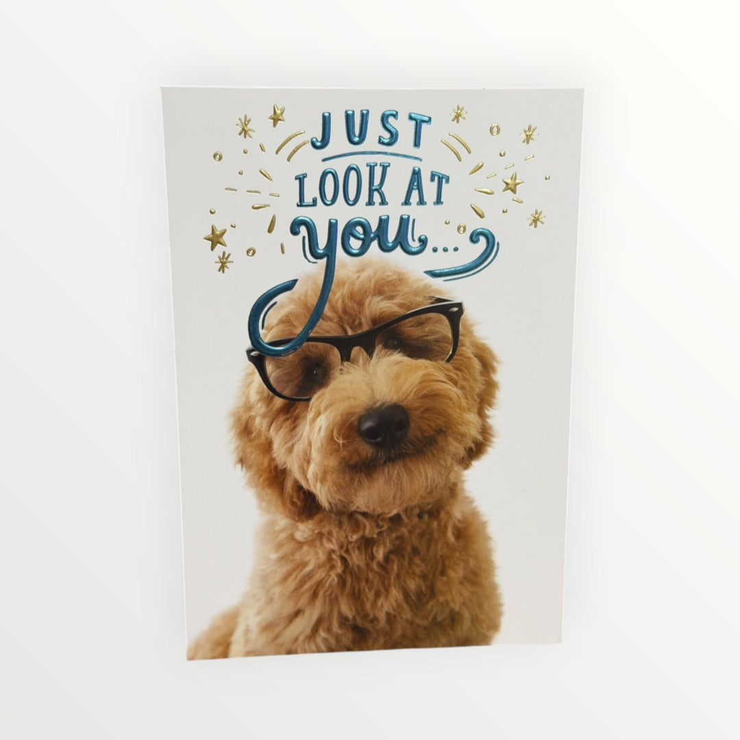 Hallmark "Look at You Being All Awesome" Congratulations Card