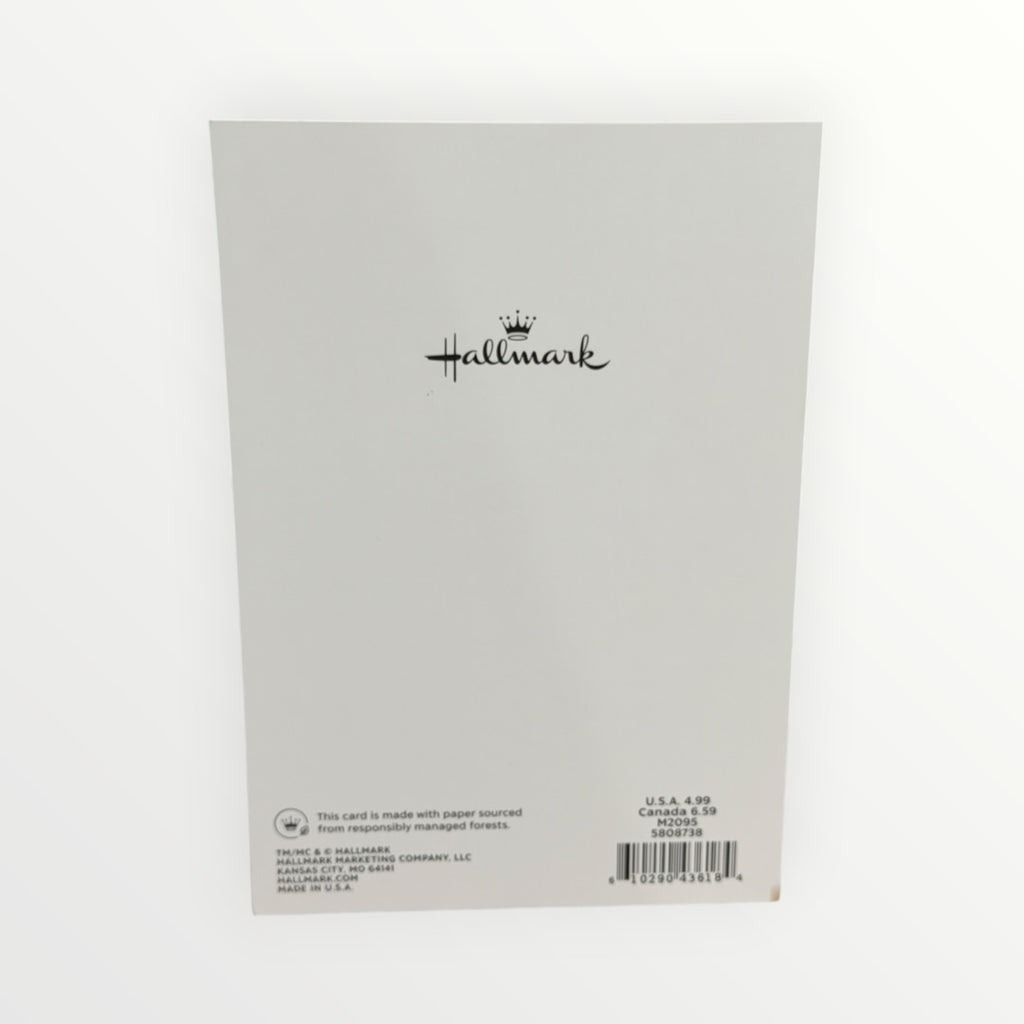Hallmark "Look at You Being All Awesome" Congratulations Card