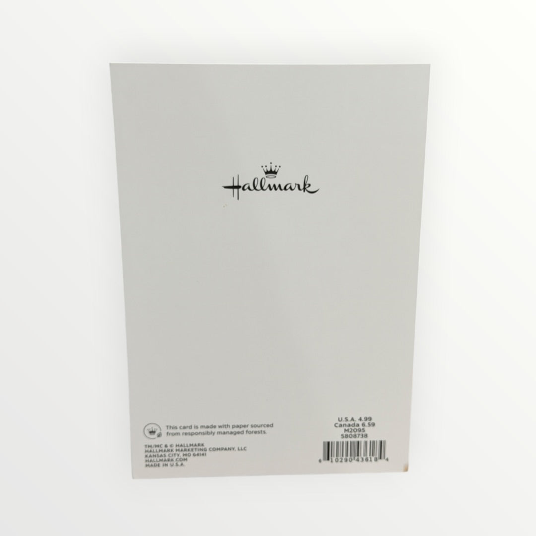 Hallmark "Look at You Being All Awesome" Congratulations Card