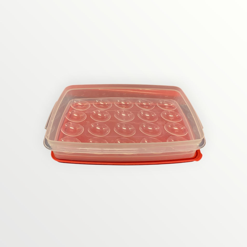 Red Rubbermaid Egg Keeper Food Storage Container - 20 cells, 3" x 8" x 12.5"