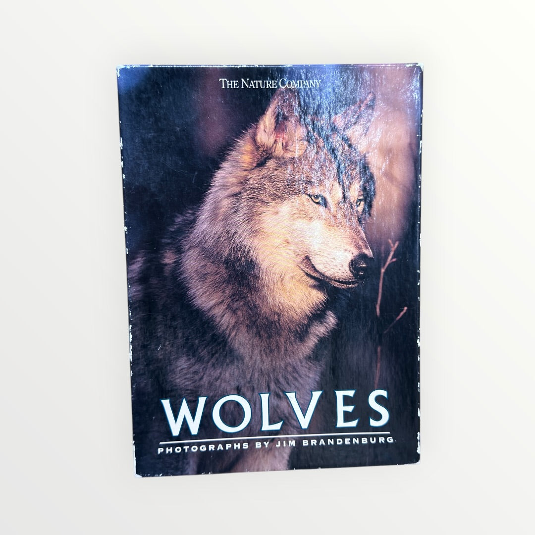 Vintage 1990s Nature Company "Wolves" Boxed Set of Greeting Cards Photographs By Jim Brandenburg