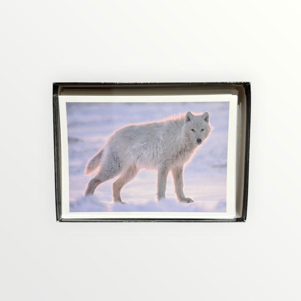 Vintage 1990s Nature Company "Wolves" Boxed Set of Greeting Cards Photographs By Jim Brandenburg