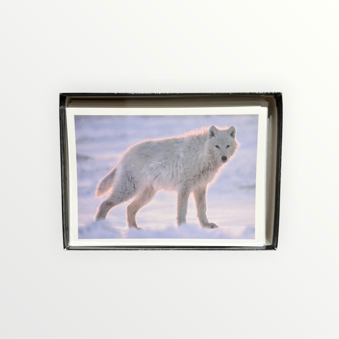 Vintage 1990s Nature Company "Wolves" Boxed Set of Greeting Cards Photographs By Jim Brandenburg