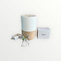 Pilgrim Sofia Diffuser