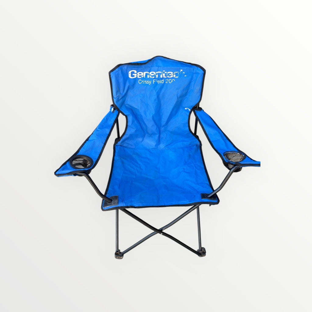 Portable Folding Camping Beach Outdoor Chair with 2 Cup Holders w/Carrying Bag