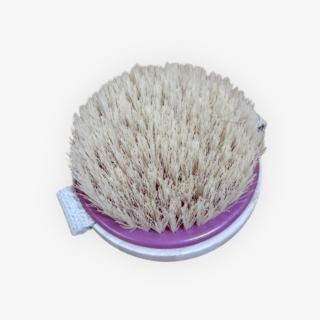 EcoTools Dry Body Brush
