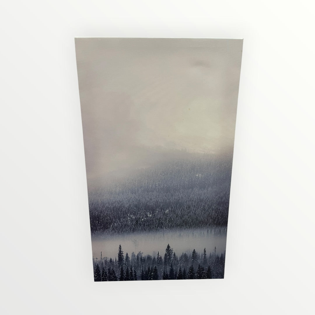 Canvas Wall Art Foggy Forest Lake 15" x 25"