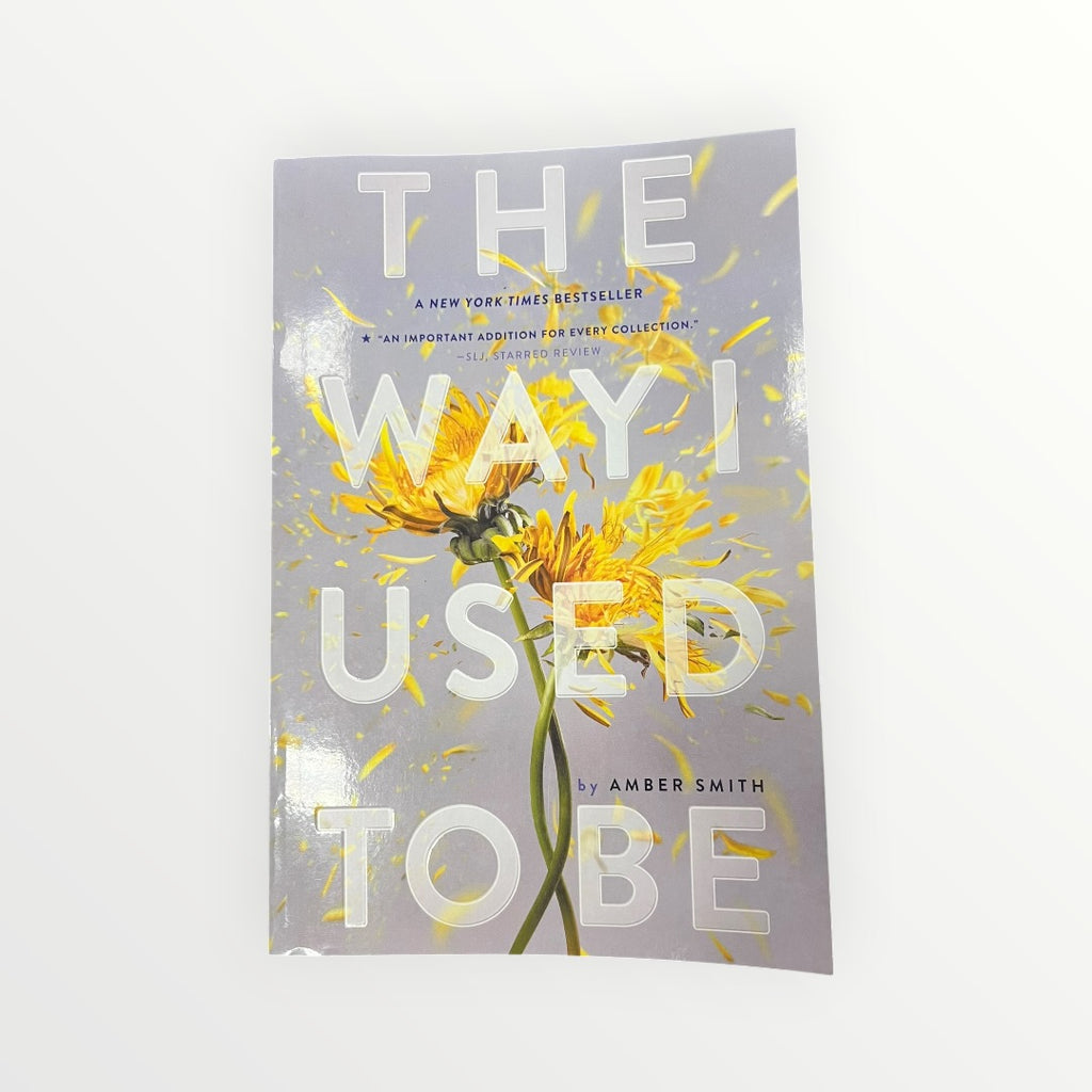 The Way I Used to Be by Amber Smith