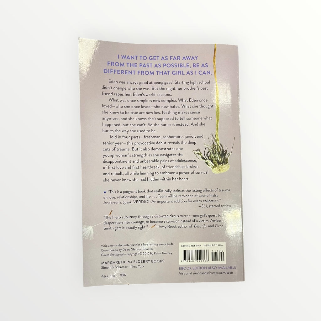 The Way I Used to Be by Amber Smith