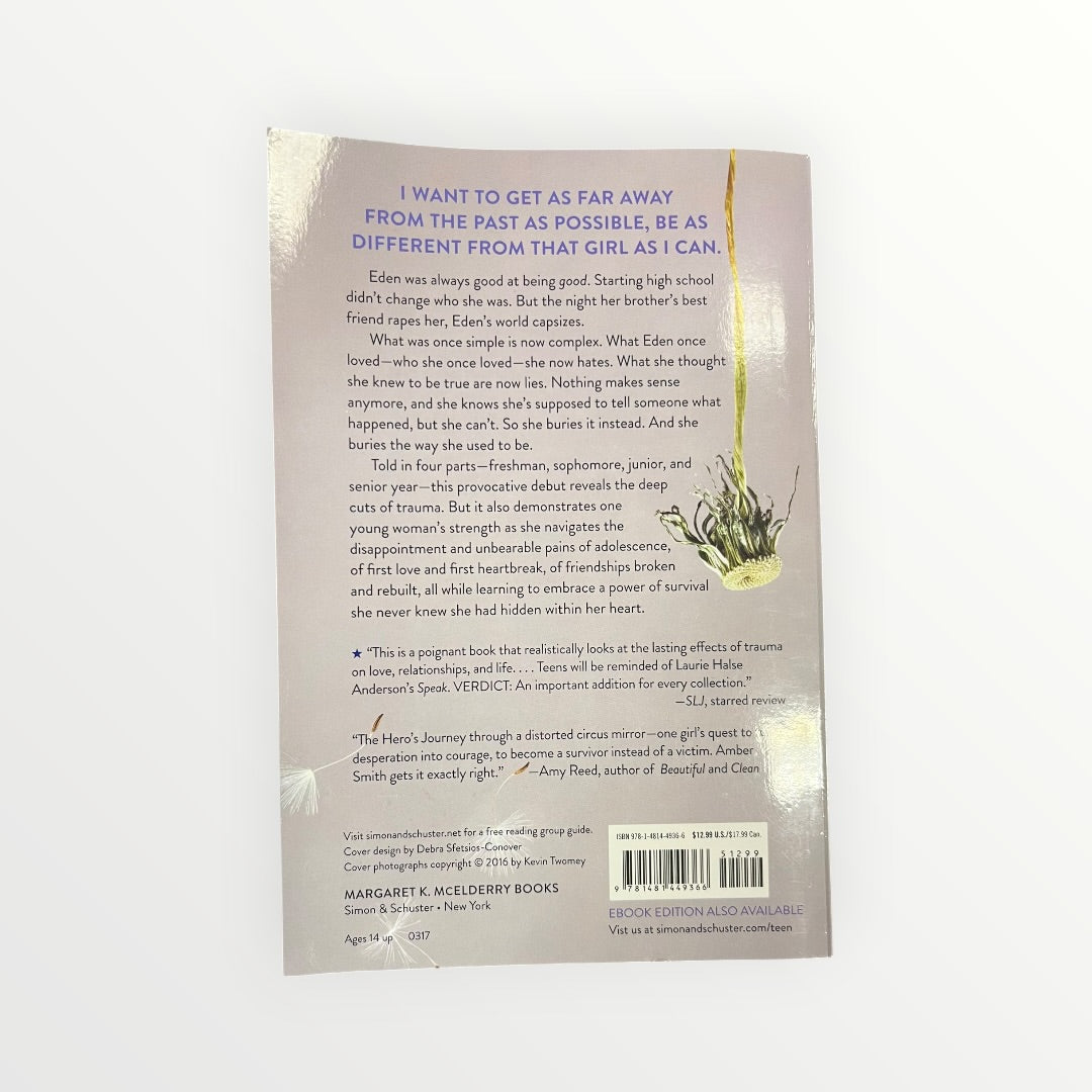The Way I Used to Be by Amber Smith