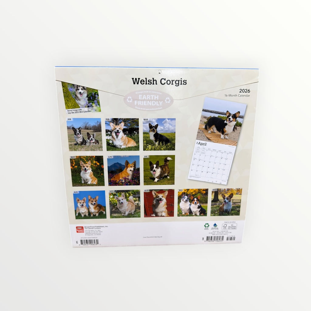 2026 Welsh Corgis 16-Month Wall Calendar 12" x 12"