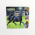 365 Days of Horses 2026 16-month calendar 12" x 12"