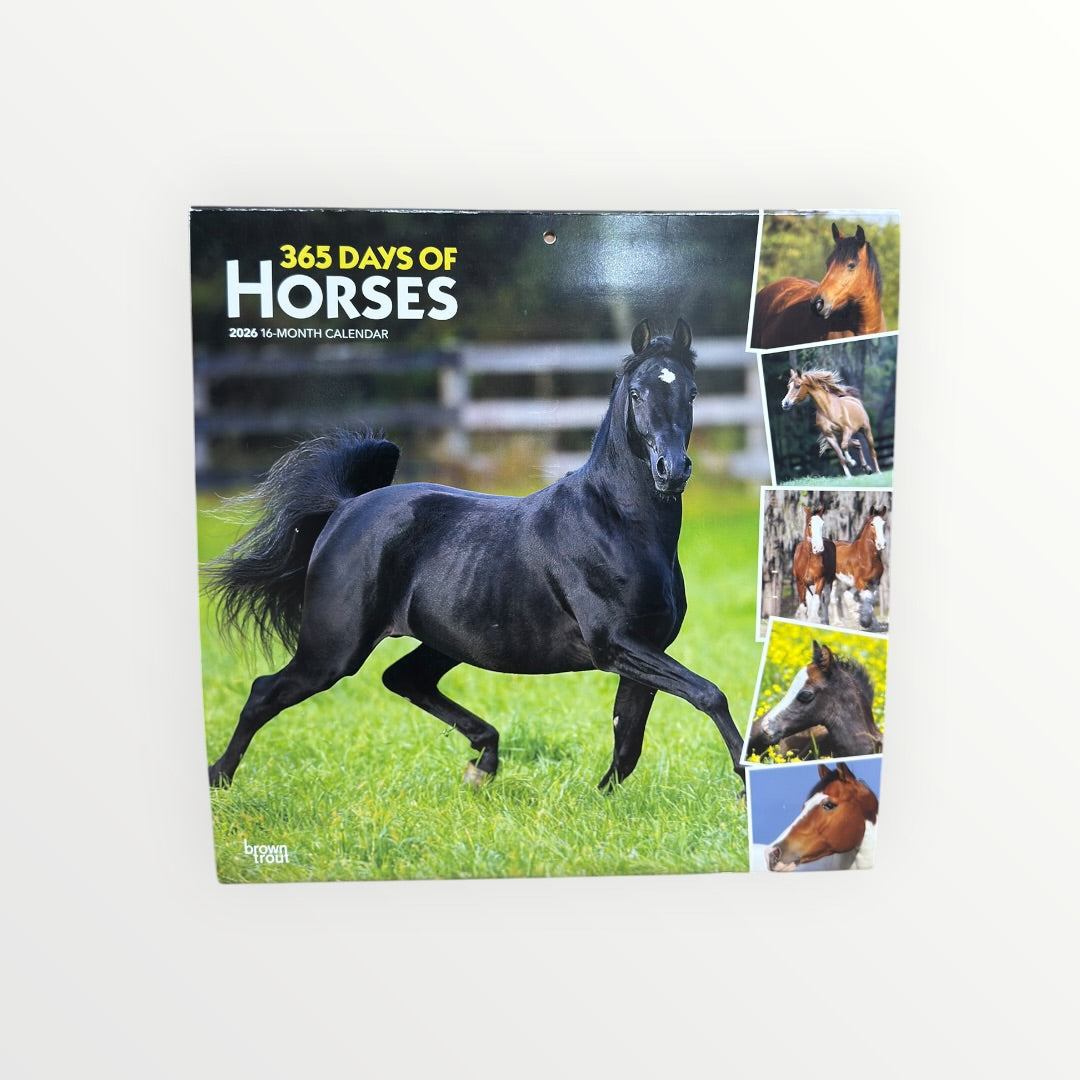 365 Days of Horses 2026 16-month calendar 12" x 12"