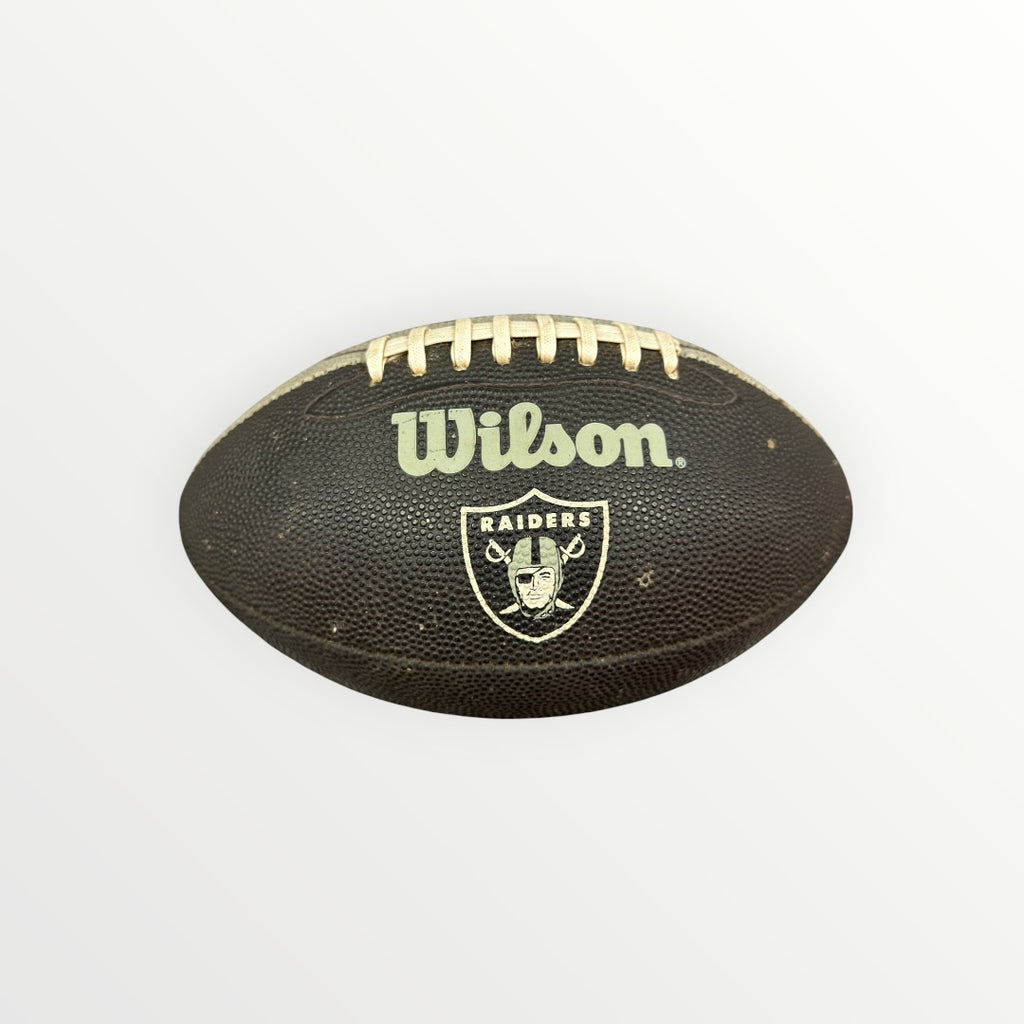 Rawlings Oakland Raiders White Panel Autograph Series Football