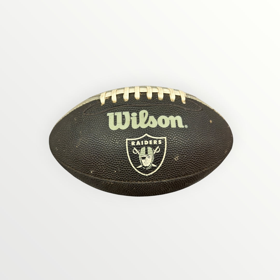 Rawlings Oakland Raiders White Panel Autograph Series Football