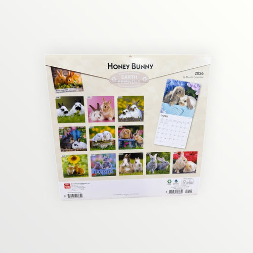 BrownTrout Publishers HONEY BUNNY 16-Month 2026 Calendar 12" x 12"