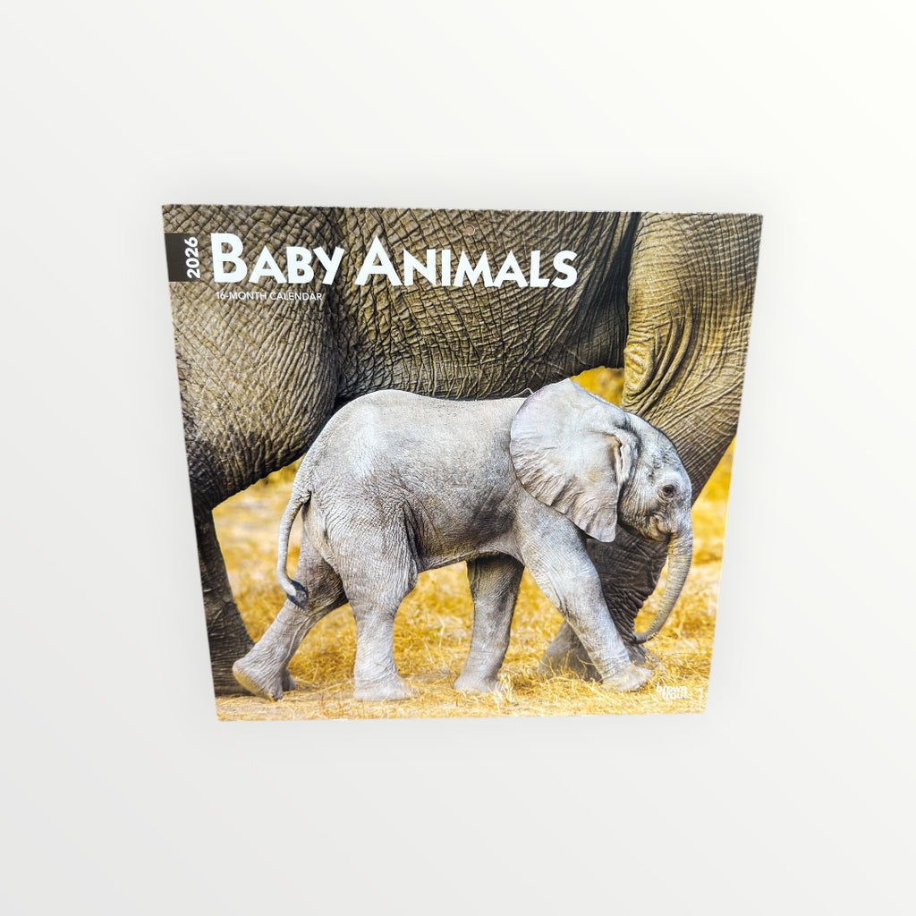 BrownTrout Publishers BABY ANIMALS 2026 16-Month Calendar 12" x 12"