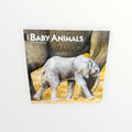BrownTrout Publishers BABY ANIMALS 2026 16-Month Calendar 12" x 12"