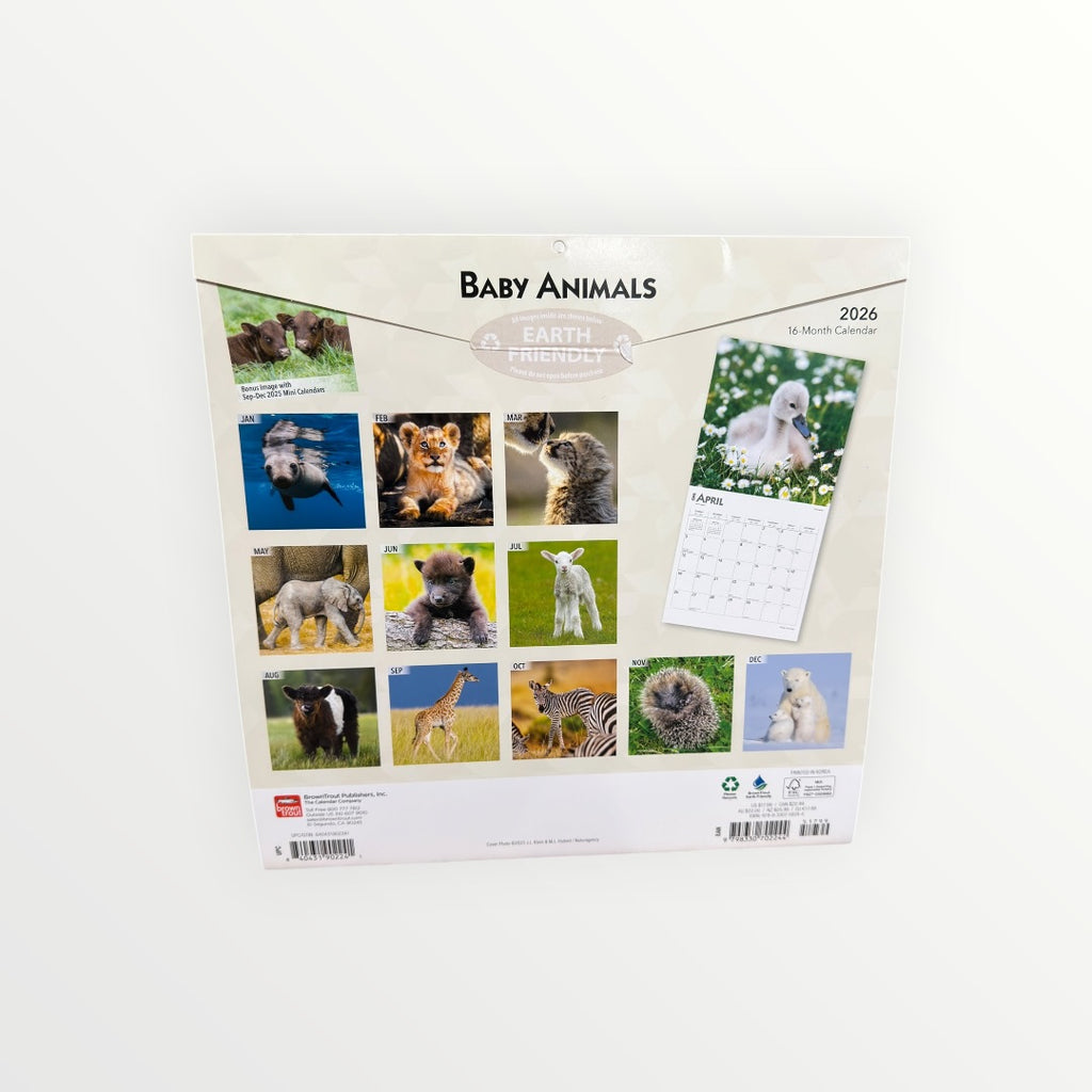 BrownTrout Publishers BABY ANIMALS 2026 16-Month Calendar 12" x 12"