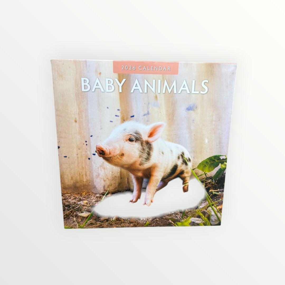 Baby Animals 2026 Wall Calendar by Red Robin Publishing 12" x 12"