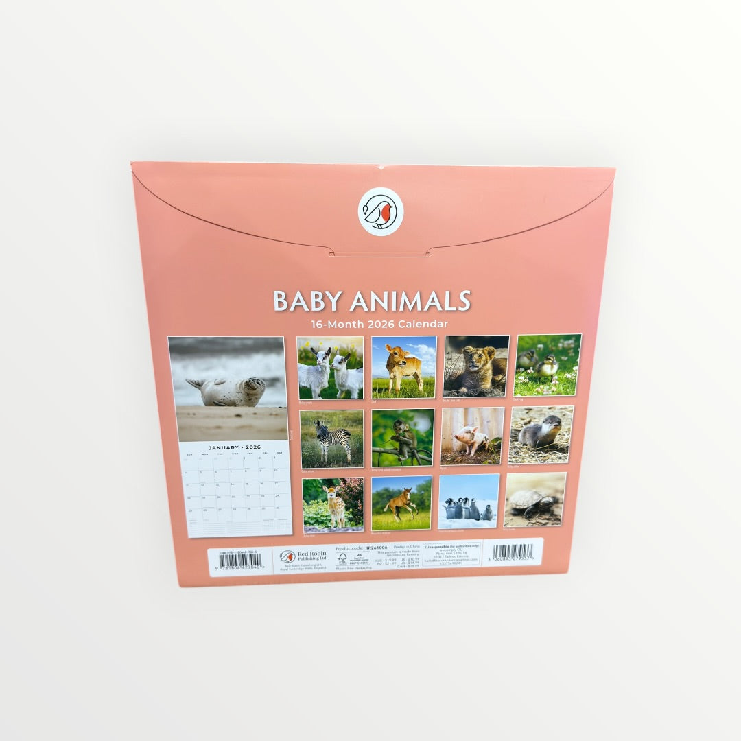 Baby Animals 2026 Wall Calendar by Red Robin Publishing 12" x 12"