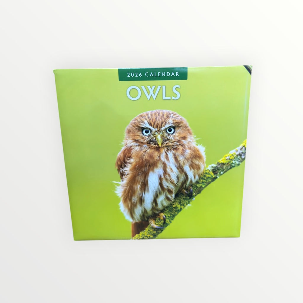 Red Robin Publishing OWLS 2026 16-Month Calendar 12" x 12"