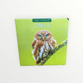 Red Robin Publishing OWLS 2026 16-Month Calendar 12" x 12"