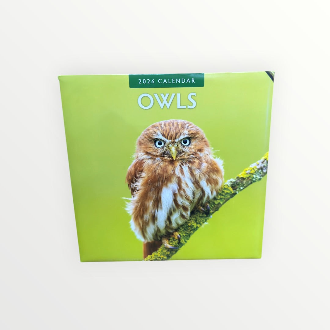 Red Robin Publishing OWLS 2026 16-Month Calendar 12" x 12"