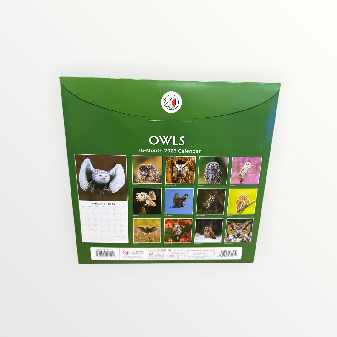 Red Robin Publishing OWLS 2026 16-Month Calendar 12" x 12"