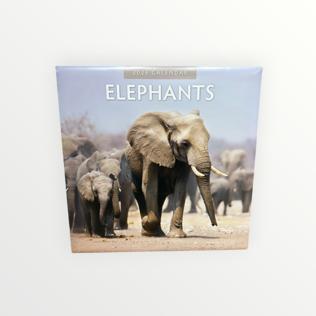 RED Robin Publishing ELEPHANTS 2026 16-Month Calendar 12" x 12"
