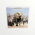 RED Robin Publishing ELEPHANTS 2026 16-Month Calendar 12" x 12"