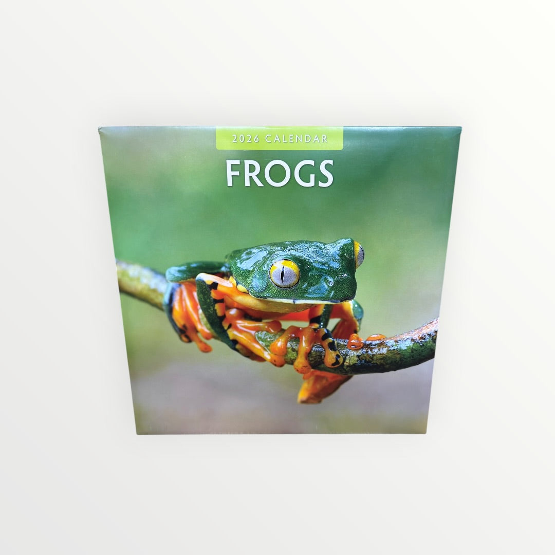 Red Robin Publishing FROGS 2026 16-Month Calendar 12" x 12"