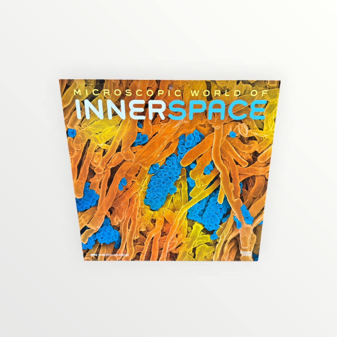 BrownTrout Publishers Microscopic World of Inner Space 2026 16-Month Calendar 12" x 12"