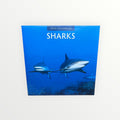 Red Robin Publishing SHARKS 2026 16-Month Calendar 12" x 12"