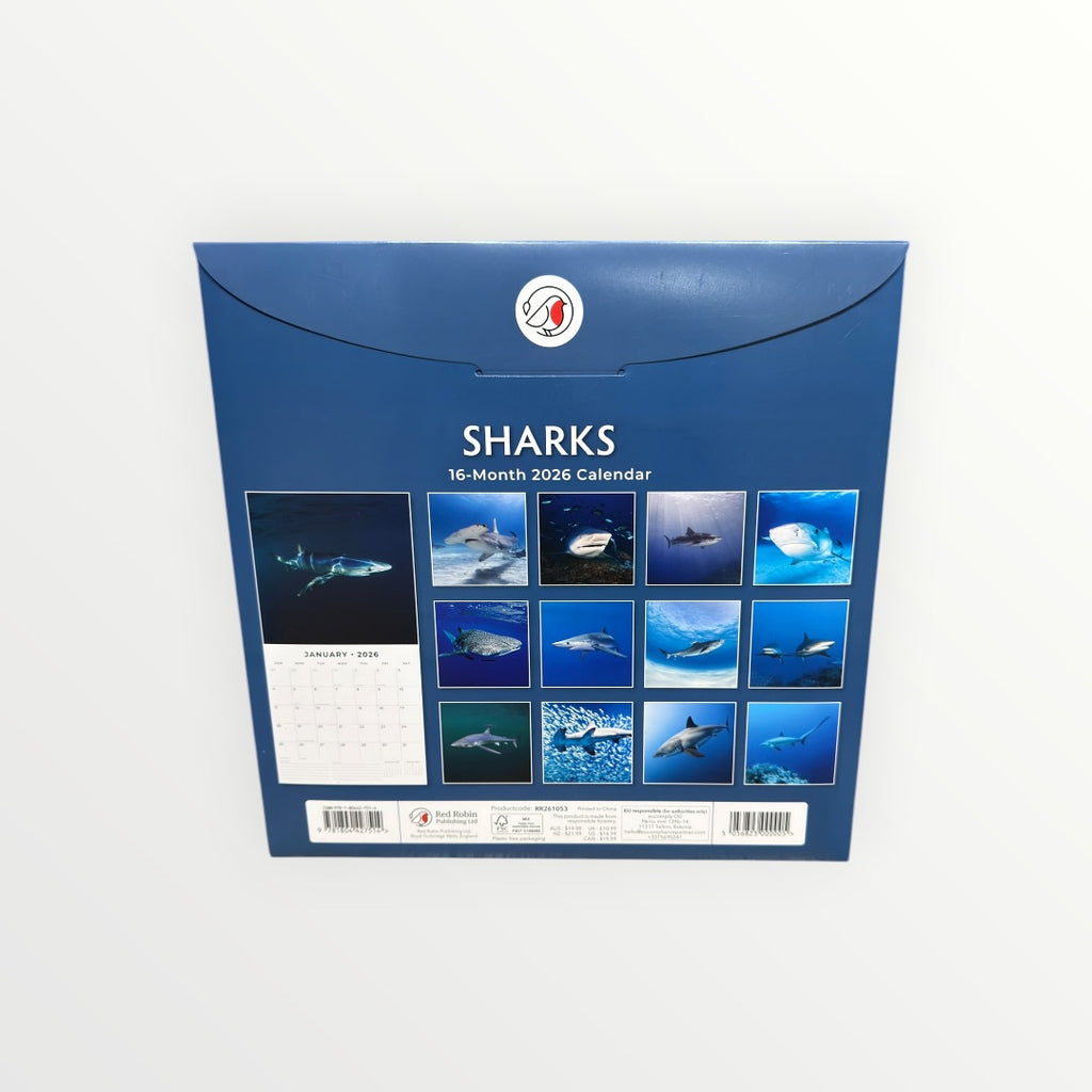 Red Robin Publishing SHARKS 2026 16-Month Calendar 12" x 12"