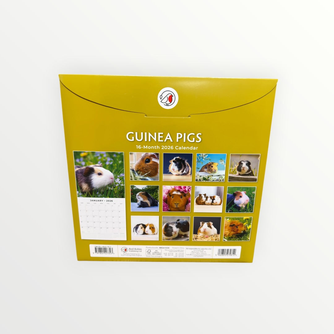 Red Robin Publishing GUINEA PIGS 2026 16-Month Calendar 12" x 12"