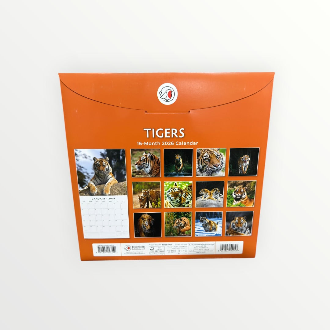 Red Robin Publishing TIGERS 2026 16-Month Calendar 12" x 12"