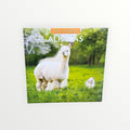 Red Robin Publishing ALPACAS 2026 16-Month Calendar 12" x 12"
