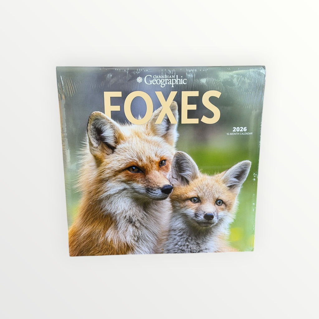 Wyman Publishing FOXES 2026 16-Month Calendar 12" x 12"