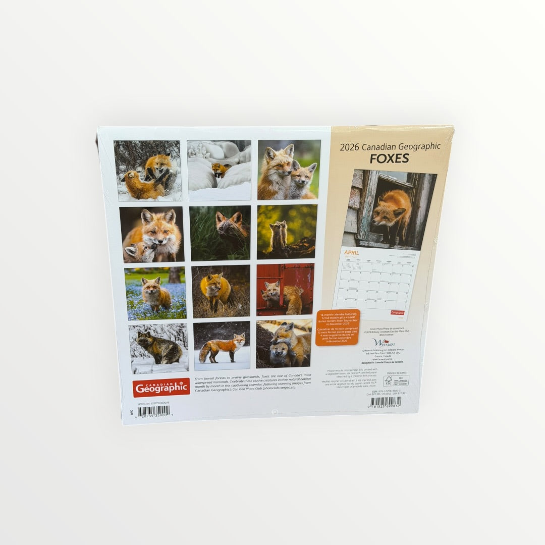 Wyman Publishing FOXES 2026 16-Month Calendar 12" x 12"