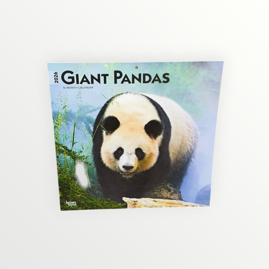 BrownTrout Publishers GIANT PANDAS 2026 16-Month Calendar 12" x 12"