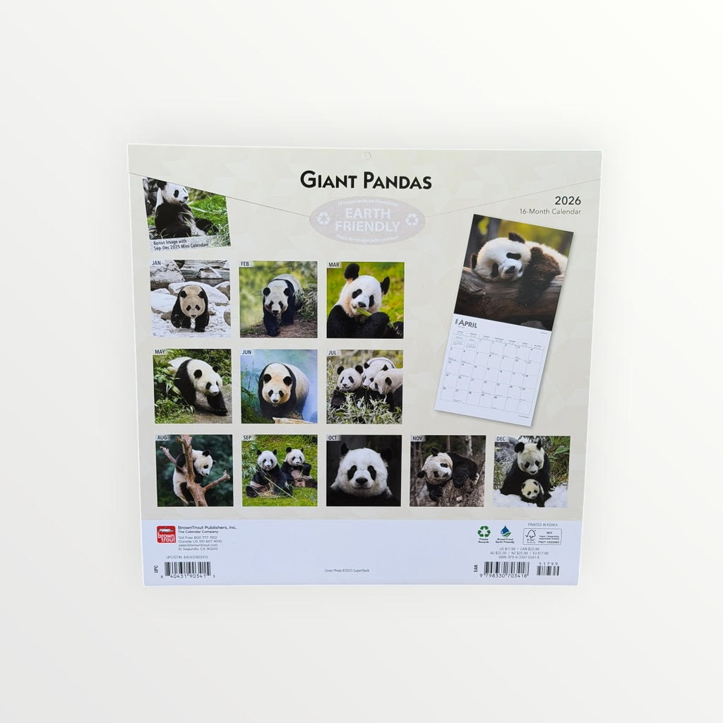 BrownTrout Publishers GIANT PANDAS 2026 16-Month Calendar 12" x 12"