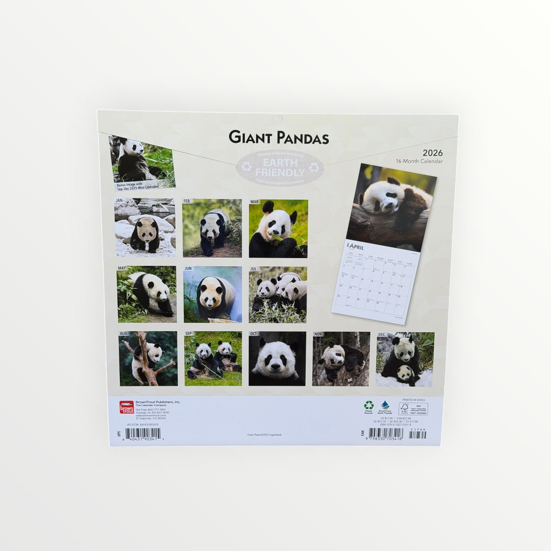 BrownTrout Publishers GIANT PANDAS 2026 16-Month Calendar 12" x 12"